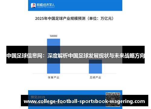 中国足球信息网：深度解析中国足球发展现状与未来战略方向