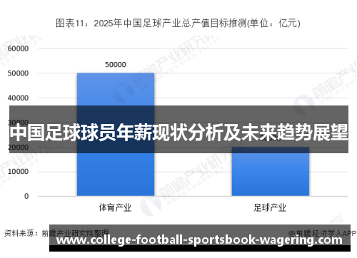 中国足球球员年薪现状分析及未来趋势展望