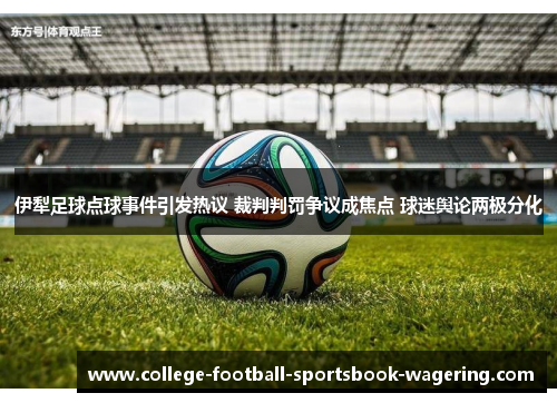 伊犁足球点球事件引发热议 裁判判罚争议成焦点 球迷舆论两极分化