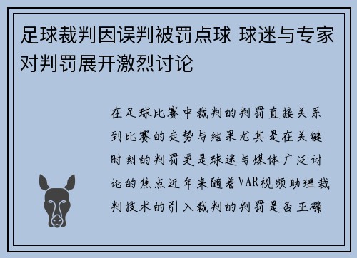 足球裁判因误判被罚点球 球迷与专家对判罚展开激烈讨论