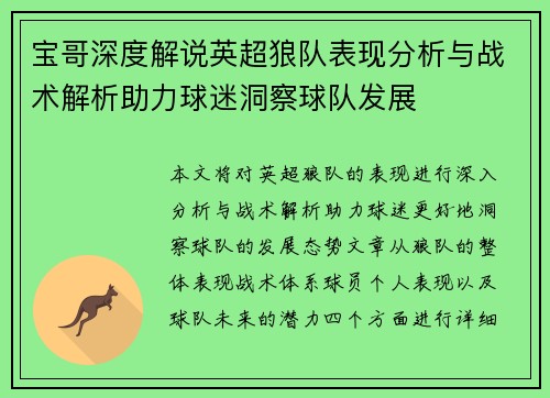 宝哥深度解说英超狼队表现分析与战术解析助力球迷洞察球队发展