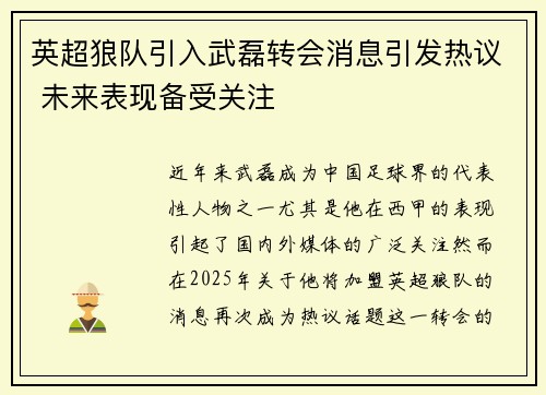 英超狼队引入武磊转会消息引发热议 未来表现备受关注